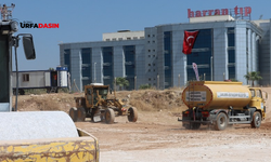 Harran Üniversitesi Etrafında Çevre Düzenlemesi Başlatıldı