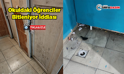 Şanlıurfa’da Okulun Kir ve Pislik İçindeki İçler Acısı Hali Tepki Çekti