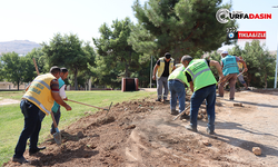 Büyükşehir Belediyesi’nden Yeşil Alanlara Bakım Seferberliği