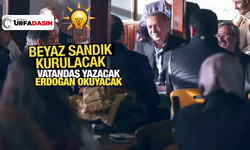 AK Parti Şanlıurfa'da Beyaz Sandık Uygulaması Başlatıyor