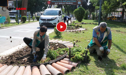 Haliliye'de Parklar Elden Geçiriliyor