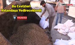 Akçakale Sınır Kapısında İnsan Sağlığına Zararlı 79 Ton Ceviz Ele Geçirildi