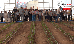 Şanlıurfa Büyükşehir Belediyesi’nden Doğa Kardeşliği Projesi