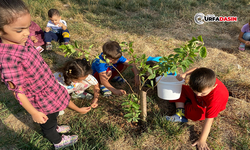 Kur'an Kursu'ndaki Minik Öğrencilere Anlamlı Etkinlik