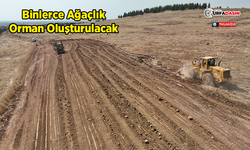 Şanlıurfa'da 100 Dönümlük Hatıra Ormanı İçin Hazırlıklar Başladı