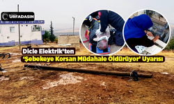 Şanlıurfa'da 1 Haftada Elektrik Şebekesine Korsan Müdahale Eden 3 Kişi Öldü