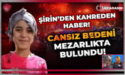 Şanlıurfalı Aile Depremden Sonra İstanbul'a Taşınmıştı Bugün Kahreden Haberle Sarsıldı