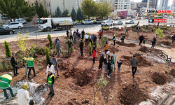 Karaköprü’de 11 Kasım Milli Ağaçlandırma Günü Etkinliği Düzenlendi