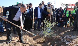 Başkan Gülpınar’dan Çevreye Büyük Yatırım: Hatıra Ormanı Projesi Start Aldı