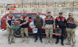 Urfa’da Kaçak Avcıların Yakaladığı 20 Saka Kuşu Doğaya Salındı