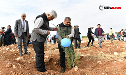 Urfa’da Milli Ağaçlandırma Günü Etkinliğine Yoğun İlgi, Herkes Fidan Dikimine Koştu