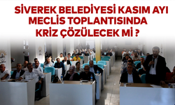 Siverek Belediyesi Kasım Ayı Meclisinde Kriz Çözülecek mi ?