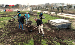 Eyyübiye Millet Bahçesi’nde Kış Bakımı