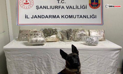 Jandarmadan Yolcu Otobüsüne Operasyon: Yaklaşık 10 Kilogram Ele Geçirildi