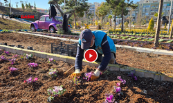 Eyyübiye'de Bitki ve Fidanlar Parklarda Topraklarla Buluşuyor