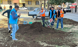 Yemyeşil Eyyübiye İçin Ekipler Sahada