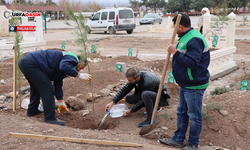 Büyükşehir Belediyesi’nden Mezarlıkta Ağaçlandırma Çalışması