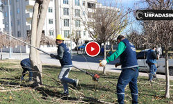 Haliliye’de 203 Parkta Yürütülen Peyzaj Çalışmaları Güvenli Yaşam Alanları Sunuyor