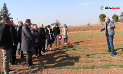 Büyükşehir Belediyesince Çiftçilere Anıza Ekim Yöntemleri Eğitimi Verildi