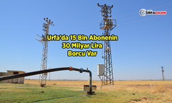 Tarımsal Sulama Öncesi Önemli Uyarı, Borcunu Ödemeyenlere Elektrik Verilmeyecek!