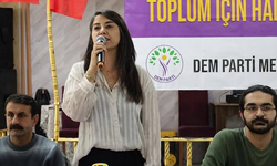 Urfa Milletvekili Dilan Kunt Ayan'dan Barış ve Demokratik Toplum Çağrısı