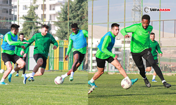 Şanlıurfaspor, Milli Maç Arasında Antrenmanlarına Devam Ediyor