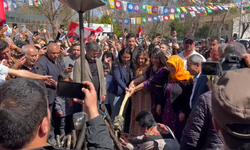 Birecik’te Baharın Gelişi Newroz Coşkuyla Kutlandı