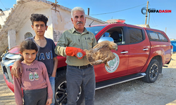 Çocukların Yaralı Halde Bulduğu Kızılşahin, Tedaviye Alındı