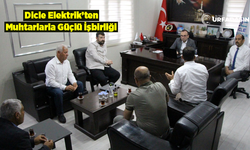 Kırsalda Enerji Kalitesi İçin Dicle Elektrik 2.473 Muhtarla Buluşacak