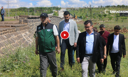DSİ'den Siverek'e 350 Milyonluk Yatırım