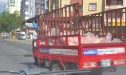 Siverek'te kamyonet kasasında et taşınması tepkilere neden oldu