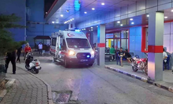 Şanlıurfa'ya Geziye Gelen Öğrenciler Dönüş Yolunda Fenalaştı