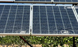 Birecik’te Güneş Enerjisi Panellerine Sabotaj Köylüleri Mağdur Etti
