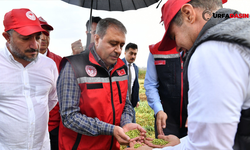 Şanlıurfa Valiliği'nden Hasat Kuralları ve Anız Genelgesi