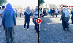 Hayvan Pazarında Taşlı Sopalı Alacak Verecek Kavgası