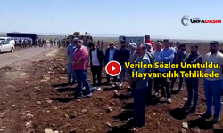 Kalyon Enerji Viranşehir'de Verdiği Sözü Tutmadı İddiası !