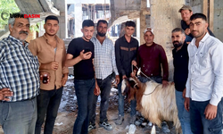 Kaybolan Keçisini Verdiği İlanla Buldu