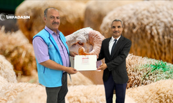 Akçakale Müftüsü Kurbanını Diyanet Vakfına Verdi