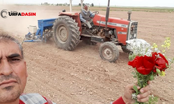Şanlıurfa'da Tarlada Çiçeklerle 1 Mayıs Kutlaması !