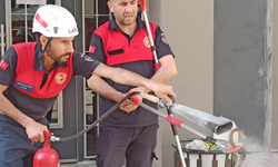 Şanlıurfa'da Havalar Isında Yılanlar Sezonu Açtı !