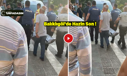 Şanlıurfa'nın Simgesi Balıklıgöl'de Kahreden Olay