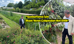 Mehmet Ali Cevheri'ye İlham Veren Amsterdam Temasları