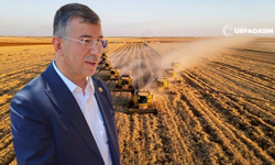 Mehmet Ali Cevheri, Şanlıurfa’nın Tarım Potansiyelini Daha İleriye Taşımak İçin Almanya ve Hollanda'ya Gitti