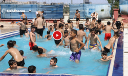 Şanlıurfa Kanala Değil Havuza Gidiyor !
