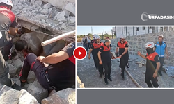 Şanlıurfa'da 4 Kişi Göçük Altından Kurtarıldı