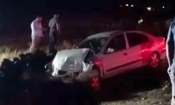 Siverek'te Meydana Gelen Trafik Kazasında 2 Kişi Yaralandı
