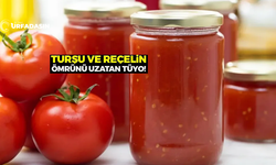 Konservenin İçine Bir Kaşık Eklemek Yeterli