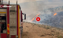 Şanlıurfa'nın Birecik İlçesinde Orman Yangını