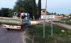 Harran'da Vatandaşların Rahatı İçin Haşereyle Mücadele Sürüyor