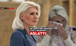 İşte Özlenen Tablo Dedirtti